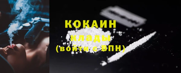 спиды Ладушкин