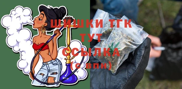 спиды Ладушкин