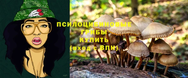 спиды Ладушкин