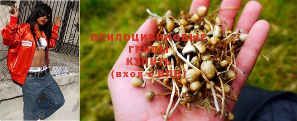 спиды Лабытнанги