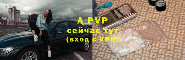 спиды Лабытнанги