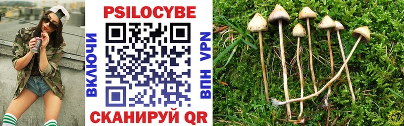 Галлюциногенные грибы мицелий  Сунжа 